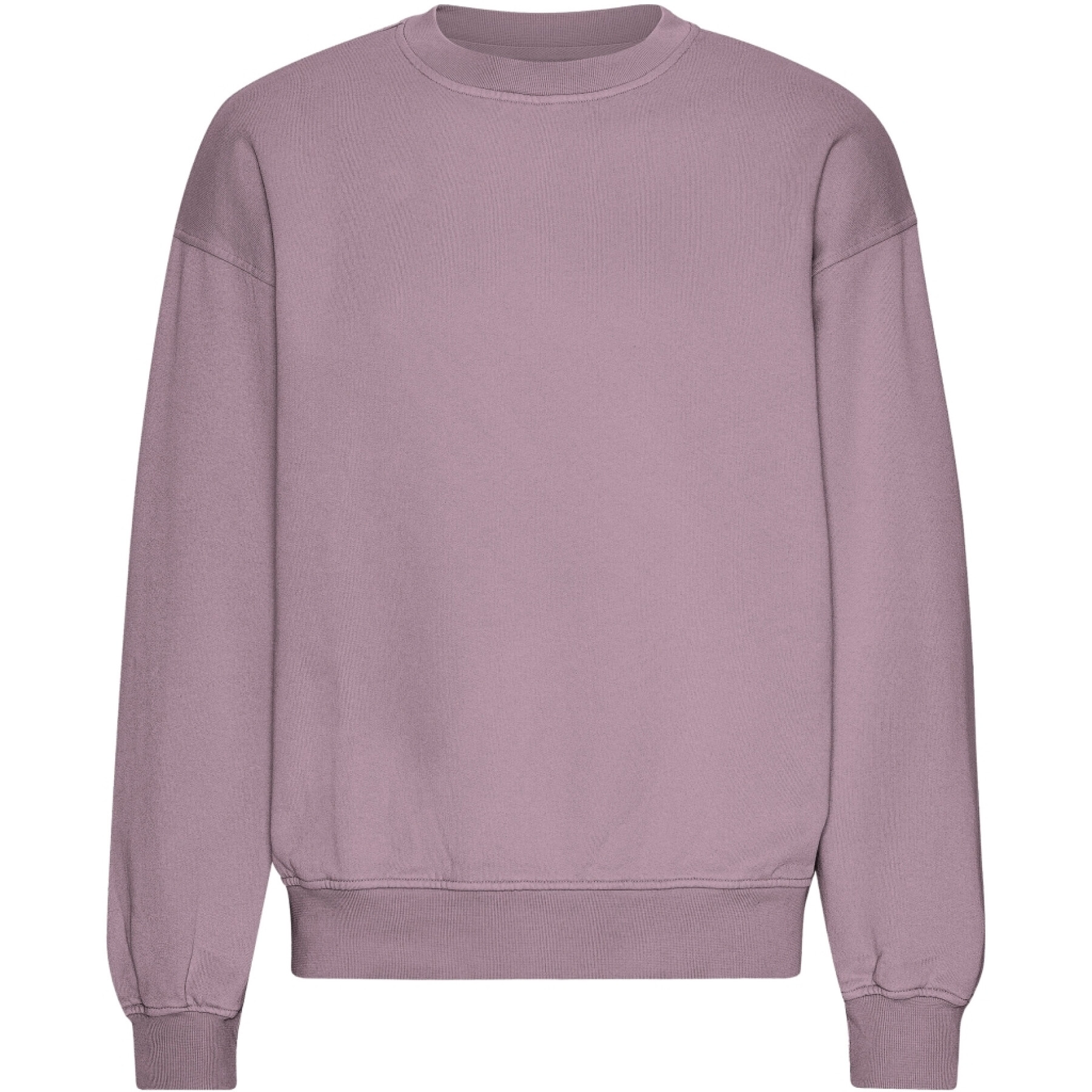 Oversized sweatshirt met ronde hals Colorful Standard Organic Pearly Purple
