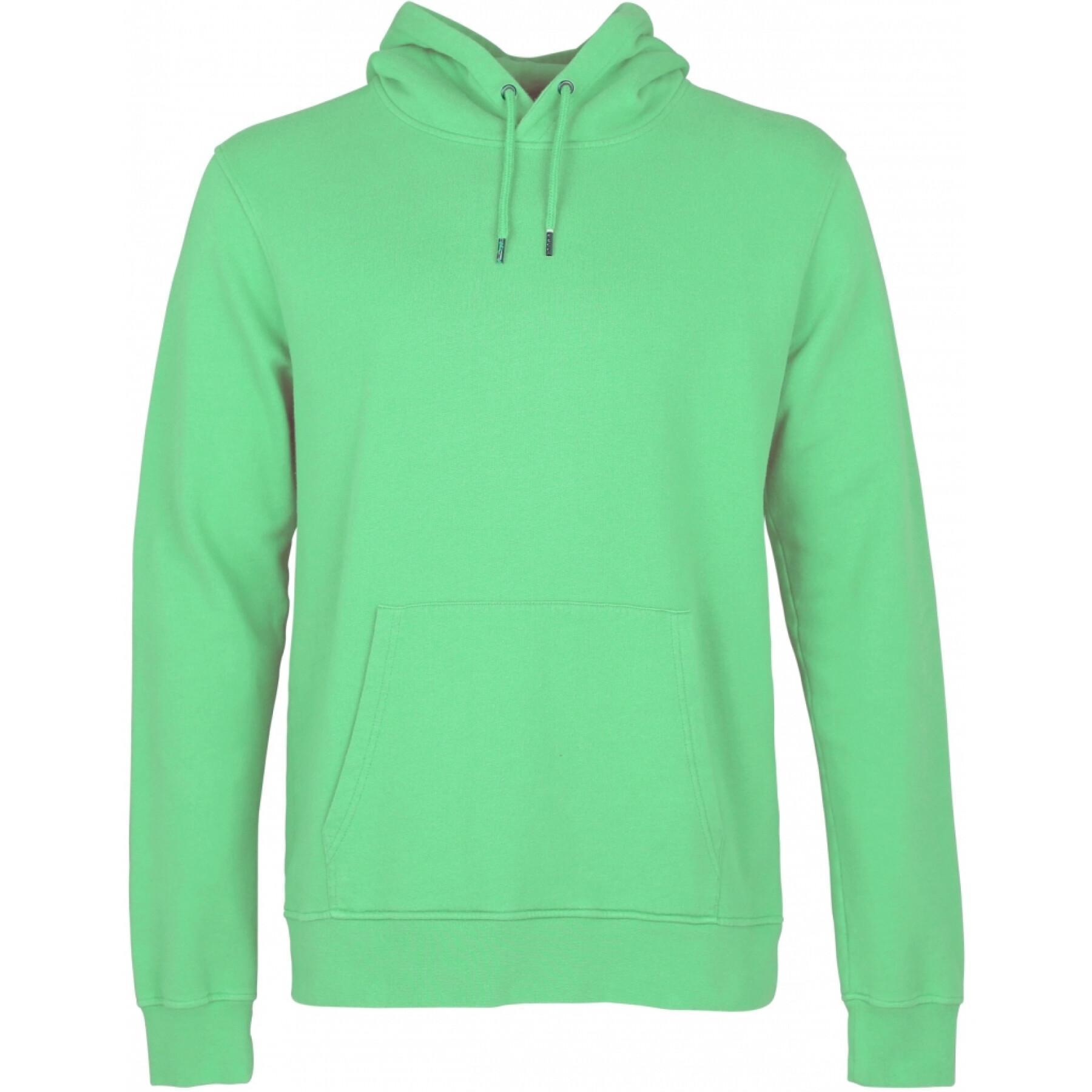 Hooded sweatshirt Colorful Standard Classic Organic spring green