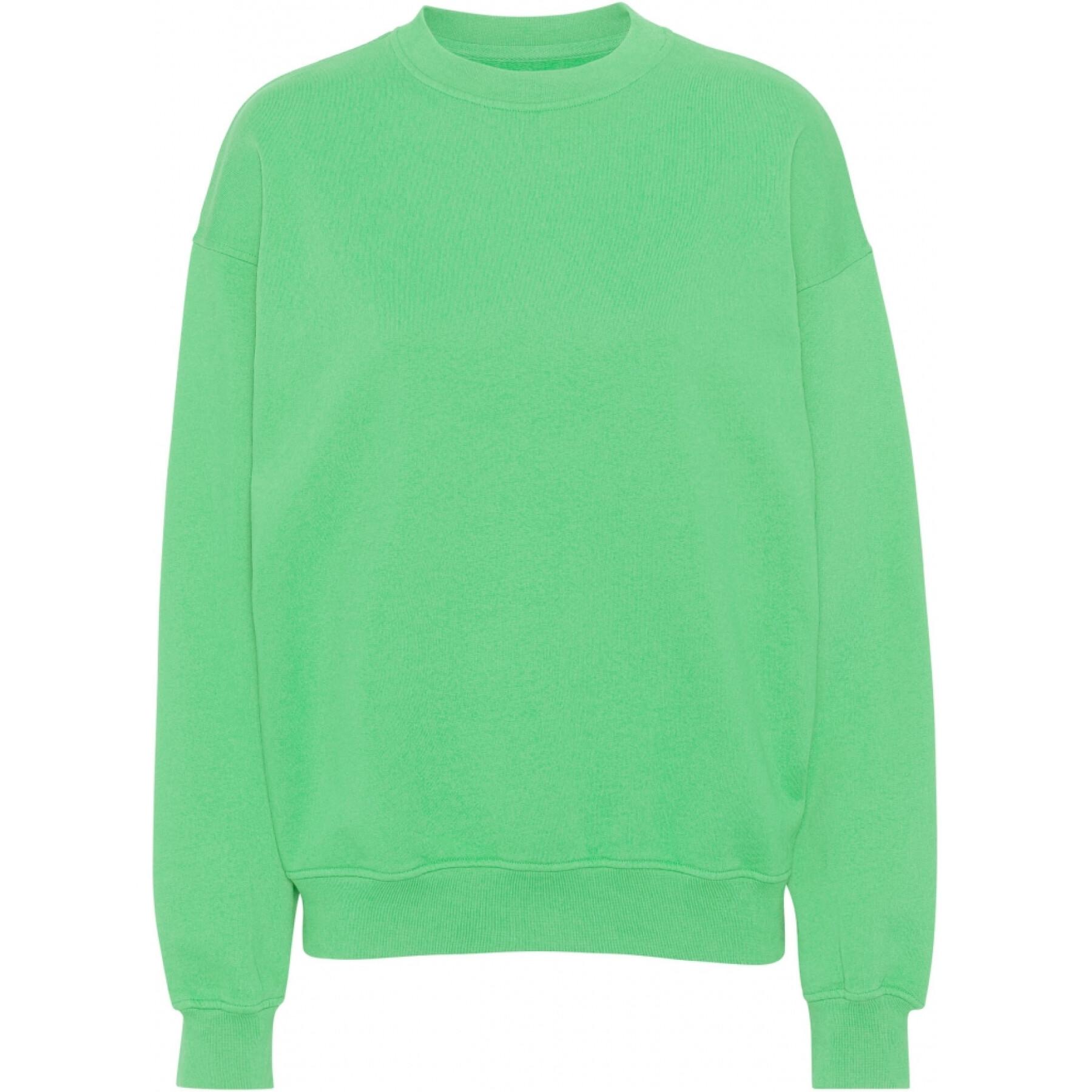 Sweatshirt ronde hals Colorful Standard Organic oversized spring green