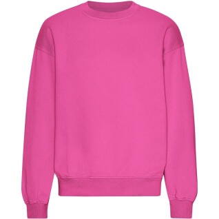 Dames sweatshirt met oversized ronde hals Colorful Standard Organic Bubblegum Pink