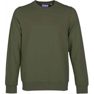 Sweatshirt ronde hals Colorful Standard Classic Organic seaweed green
