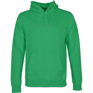 Hooded sweatshirt Colorful Standard Classic Organic kelly green
