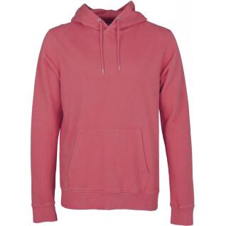 Hooded sweatshirt Colorful Standard Classic Organic raspberry pink