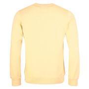 Sweatshirt ronde hals Colorful Standard Classic Organic soft yellow