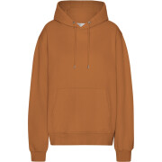 Hoodie Colorful Standard Classic Organic Ginger Brown