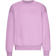 Oversized sweatshirt met ronde hals Colorful Standard Organic Cherry Blossom