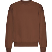 Oversized sweatshirt met ronde hals Colorful Standard Organic Cinnamon Brown