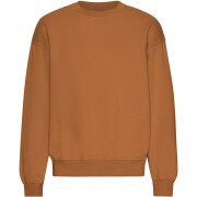 Oversized sweatshirt met ronde hals Colorful Standard Organic Ginger Brown