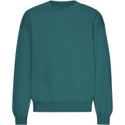 Oversized sweatshirt met ronde hals Colorful Standard Organic Ocean Green