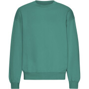Oversized sweatshirt met ronde hals Colorful Standard Organic Pine Green