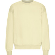 Oversized sweatshirt met ronde hals Colorful Standard Organic Soft Yellow