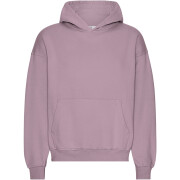 Oversized sweatshirt met capuchon Colorful Standard Organic Pearly Purple