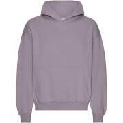Oversized sweatshirt met capuchon Colorful Standard Organic Purple Haze