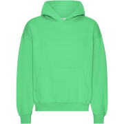Oversized sweatshirt met capuchon Colorful Standard Organic Spring Green