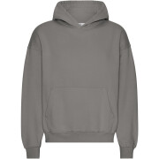 Oversized sweatshirt met capuchon Colorful Standard Organic Storm Grey