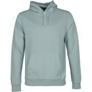 Hooded sweatshirt Colorful Standard Classic Organic steel blue