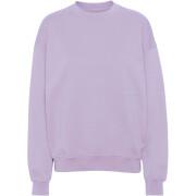 Sweatshirt ronde hals Colorful Standard Organic oversized soft lavender