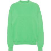 Sweatshirt ronde hals Colorful Standard Organic oversized spring green