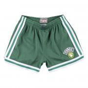 Dames shorts Boston Celtics jump shot